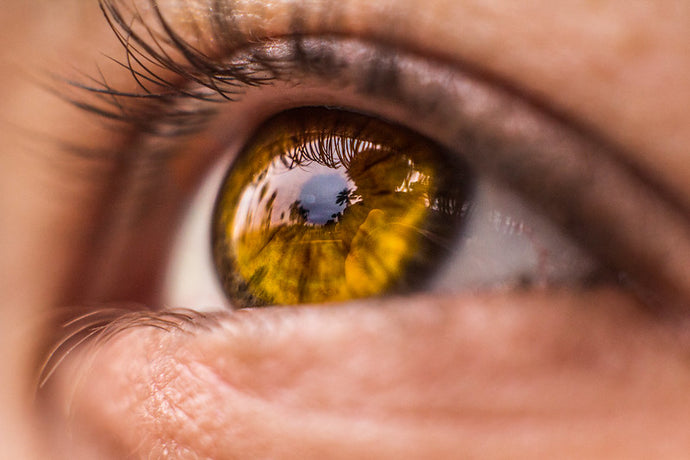 7 Eye Care Tips For Maintaining Good Eyesight