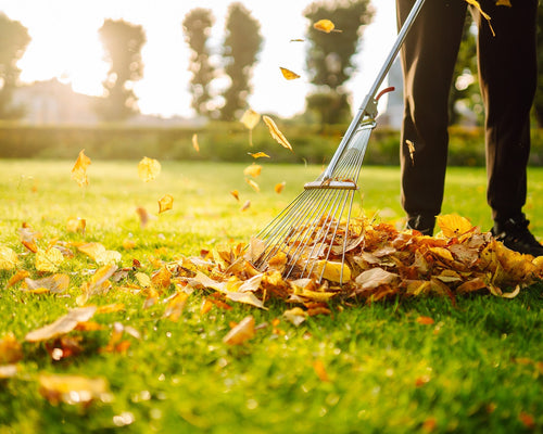 Fall Yardwork Without the Next-Day Regret: Simple Recovery Tips for Sore Muscles