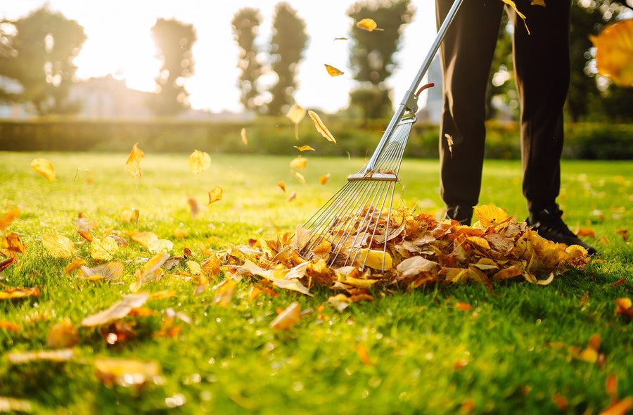 Fall Yardwork Without the Next-Day Regret: Simple Recovery Tips for Sore Muscles