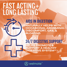 WELMATE Dietary Supplement - Bifidobacterium Probiotic Supplement, 200 Capsules (Generic Align)