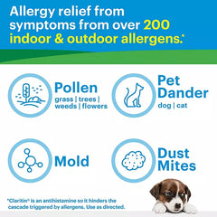 CLARITIN Allergy Relief - Loratadine 5mg, 80 Children's Chewable Tablets