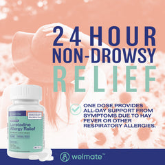 WELMATE Allergy Relief - Loratadine 10mg, 365 Tablets (Generic Claritin)